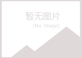 长治治城谷雪化学有限公司